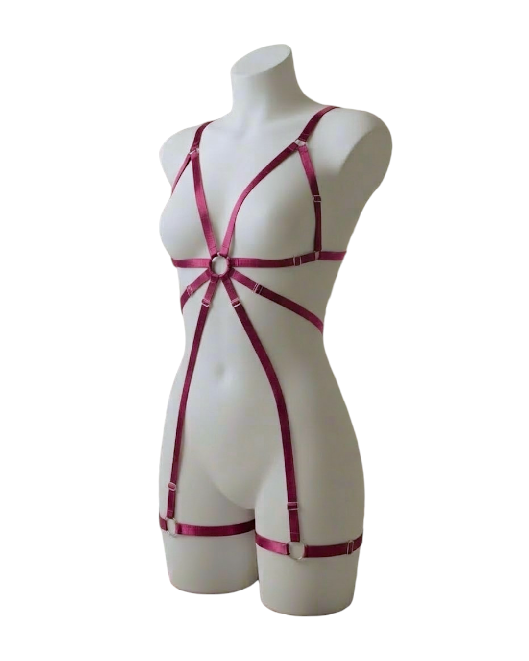 Arnés Easy - Image 2