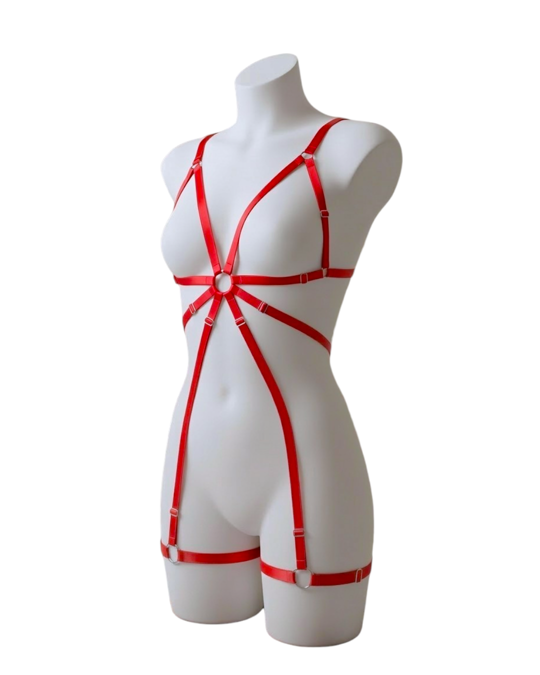 Arnés Easy - Image 4